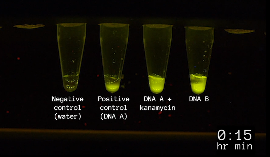 CD-3C-2 Experiment 2 - 15 min.png