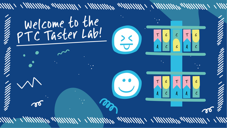 Introducing the PTC Taster Digital Lab